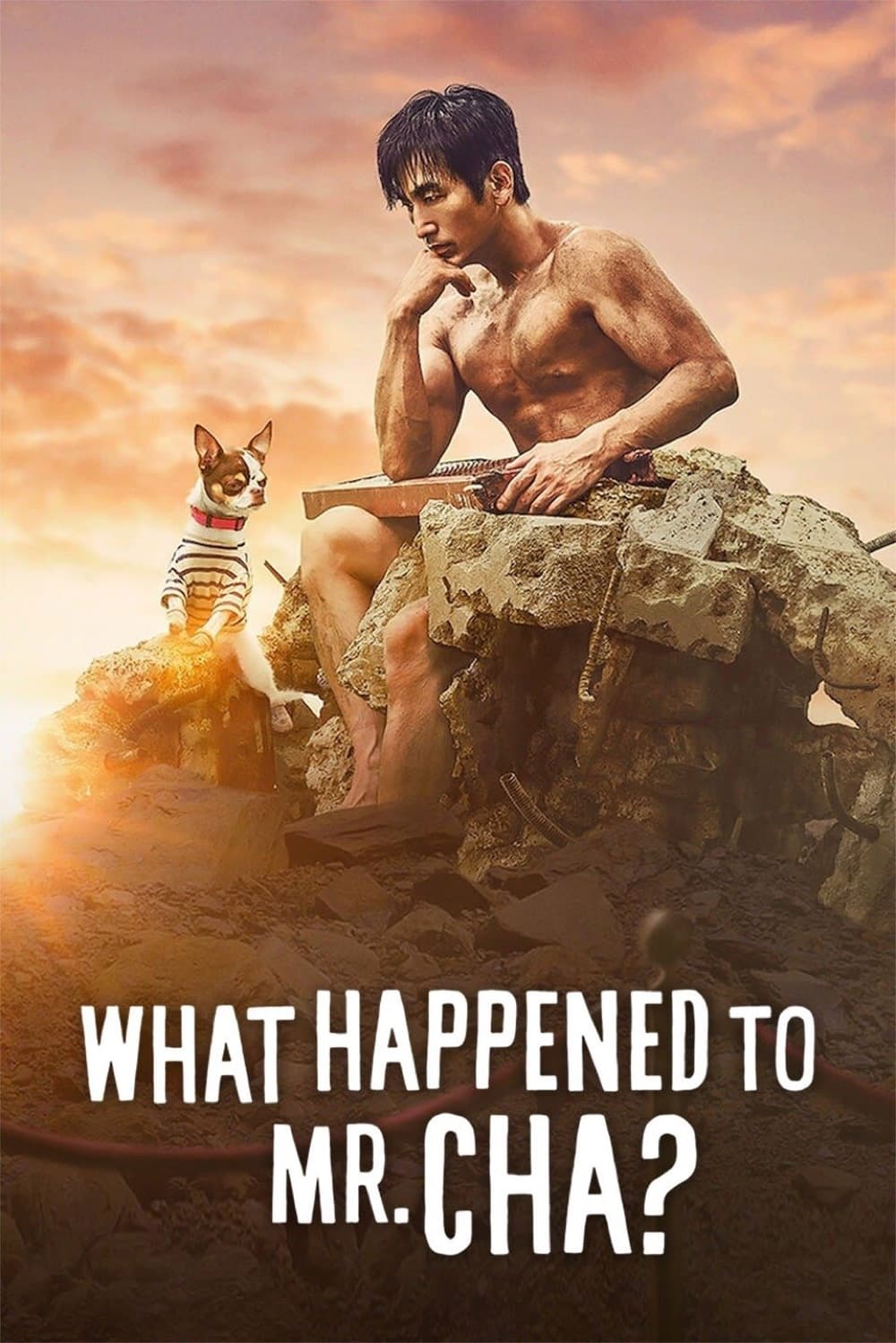 What Happened to Mr