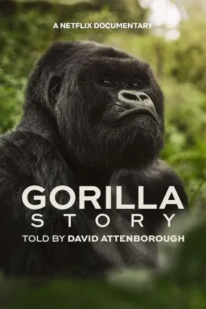 Gorilla