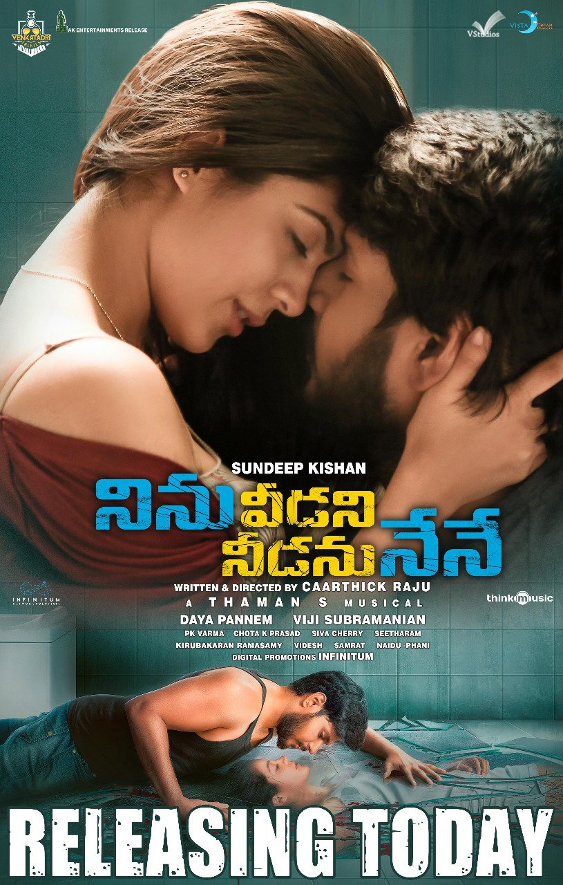 Ninnu Veedani Needanu Nene