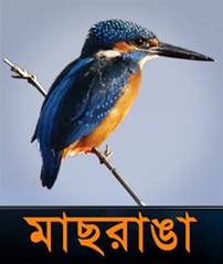 MASSRANGA
